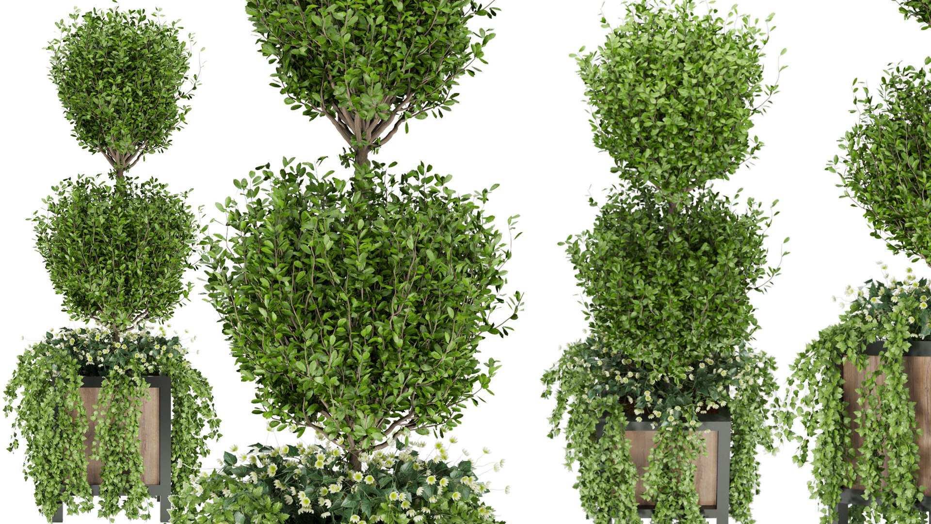 3D Collection plant vol 41 https://p.turbosquid.com/ts-thumb/IQ/1eO8s3/zl/1/jpg/1647166852/1920x1080/fit_q87/583ca787623e37a1af49b395f44f17c446b48b91/1.jpg