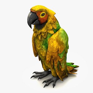 Parrot 5