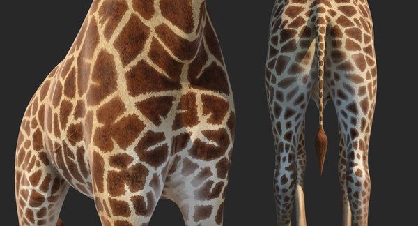 African giraffe walking pose 3D - TurboSquid 1402541