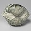 Ark Shell