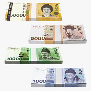 3D South Korean Banknote Bundles Collection 2