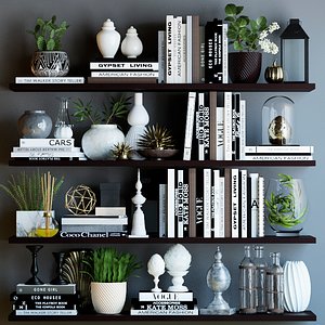 Books shelves decor set