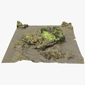 seaweed rock 3D
