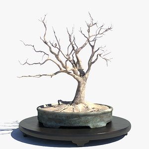 3ds max desert tree camel thorn