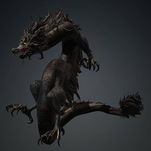 Dragon-D3 model