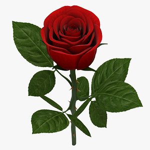 3d rose branch red 02