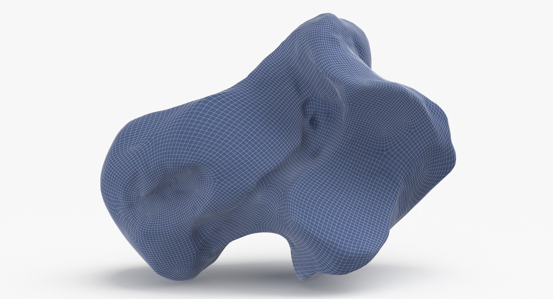 Domestic Cat Talus Bone 01 3D TurboSquid 1828003