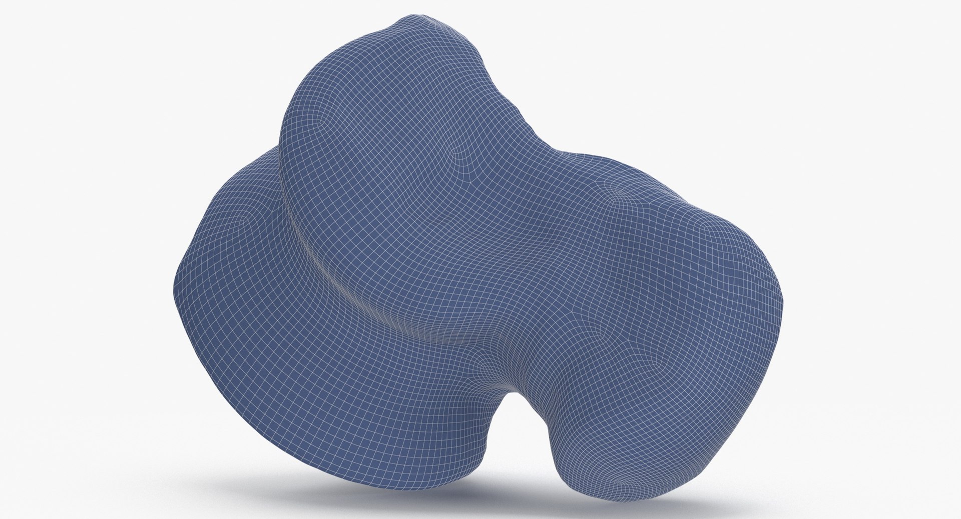 Domestic Cat Talus Bone 01 3D TurboSquid 1828003