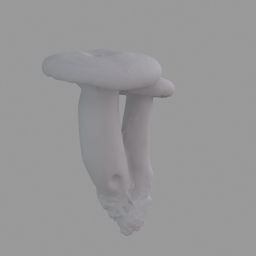 scan 3D model https://p.turbosquid.com/ts-thumb/IQ/z8QY1f/9uTWMtAd/c04/jpg/1503993385/1920x1080/fit_q87/dbdedd1d7f7155bbf89ece4bfad8e90ca72c7045/c04.jpg