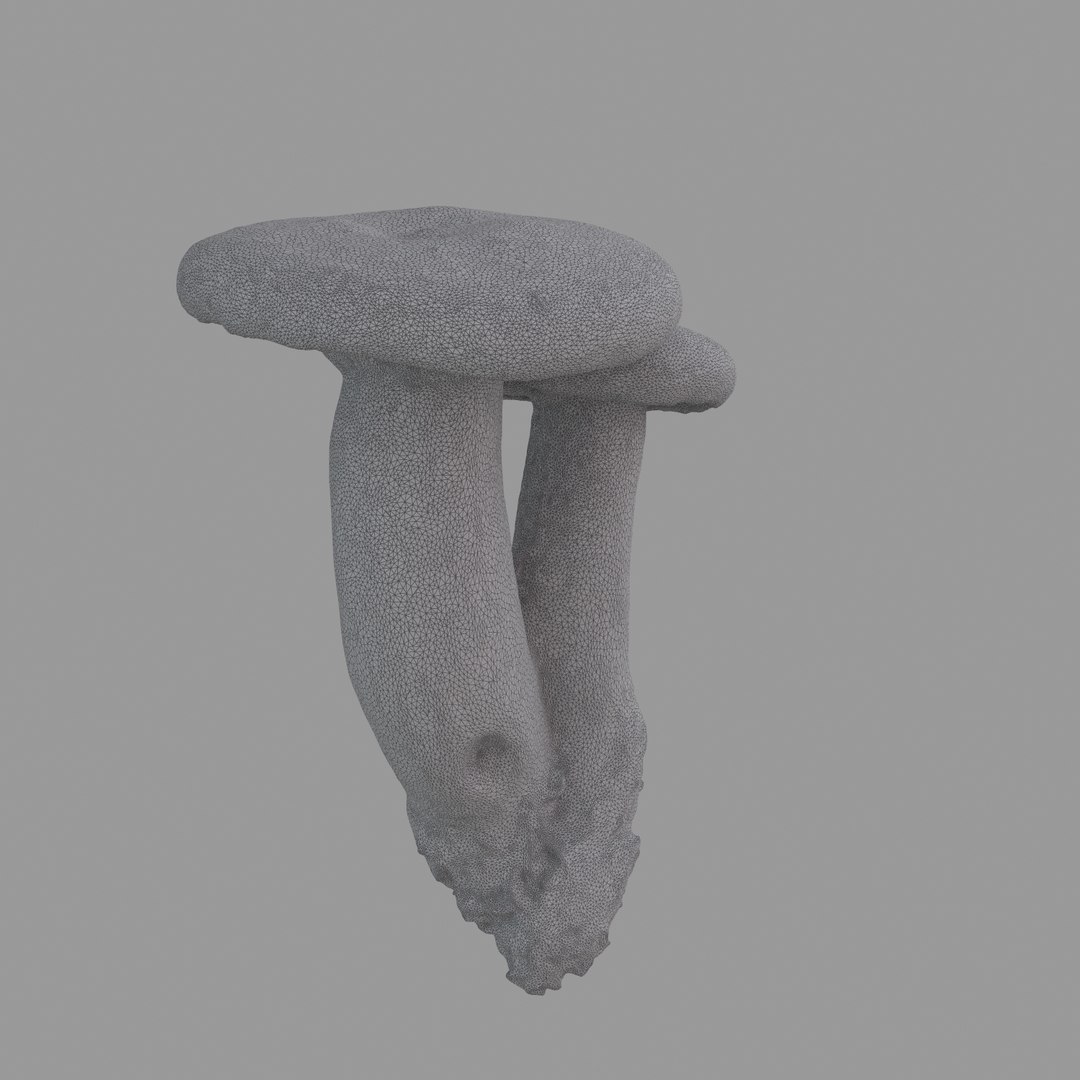 scan 3D model https://p.turbosquid.com/ts-thumb/IQ/z8QY1f/Qbz6uKlo/w04/jpg/1503993385/1920x1080/fit_q87/e82b2f4d96e3dcef64fcf8246a4a0879bb6e85f7/w04.jpg