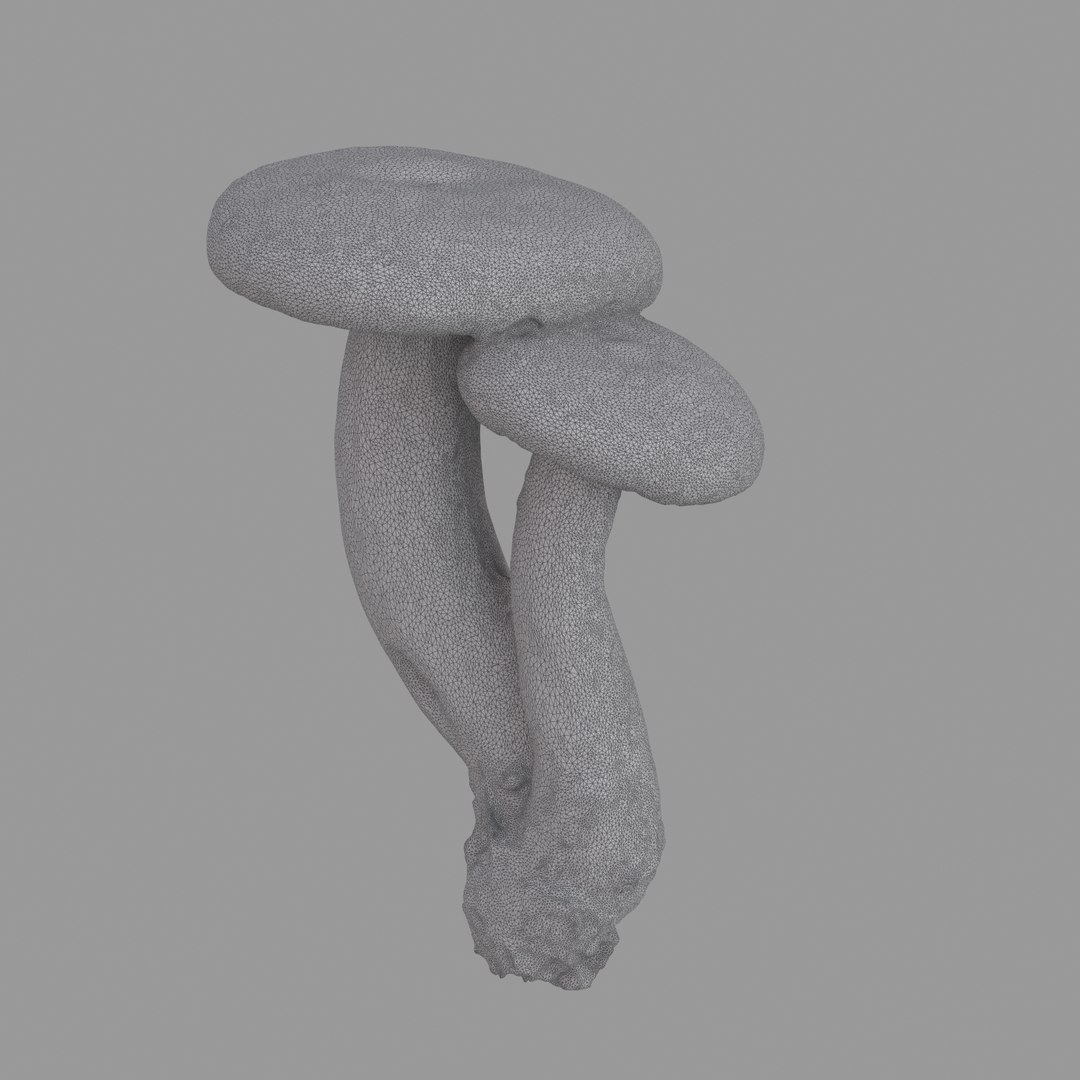 scan 3D model https://p.turbosquid.com/ts-thumb/IQ/z8QY1f/UFtajT6R/w01/jpg/1503993385/1920x1080/fit_q87/60ab88805b2feecc2ec4d5f816c3264ea794b5e0/w01.jpg