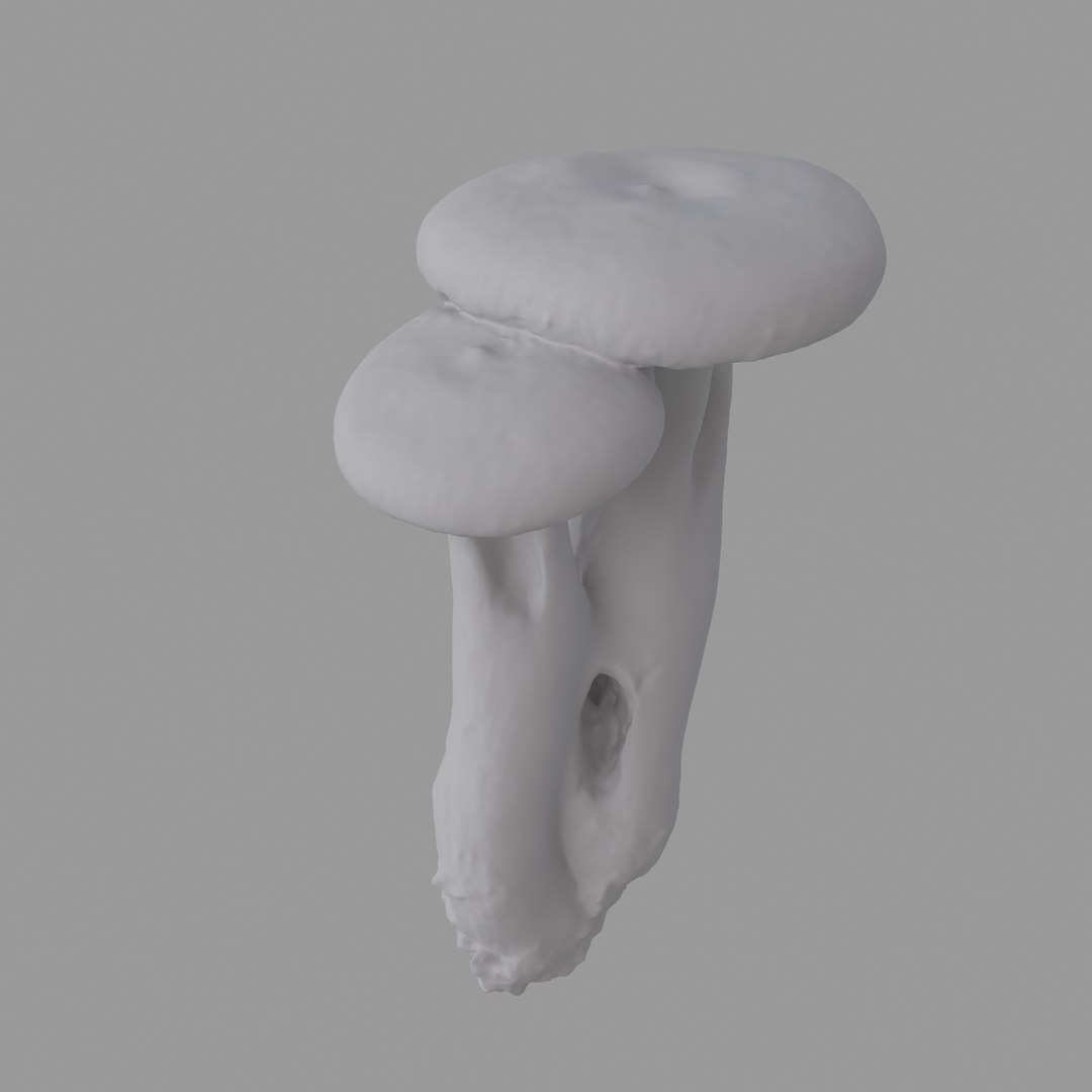 scan 3D model https://p.turbosquid.com/ts-thumb/IQ/z8QY1f/omdoTm56/c02/jpg/1503993385/1920x1080/fit_q87/df066f9a8b45933b6224bca81b6aa4d631b0b754/c02.jpg