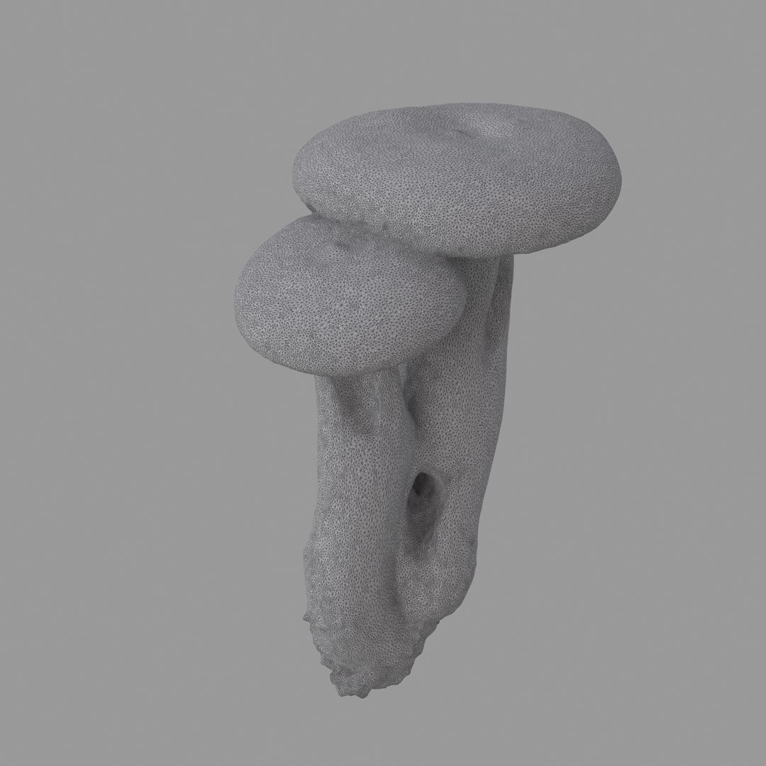 scan 3D model https://p.turbosquid.com/ts-thumb/IQ/z8QY1f/yo6xiTCu/w02/jpg/1503993385/1920x1080/fit_q87/264f42e3e4de2e66c493aebfbca01e5ad86c742a/w02.jpg