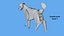 Chien Origami