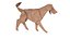 Chien Origami