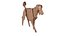 Chien Origami