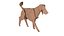 Chien Origami
