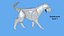 Chien Origami