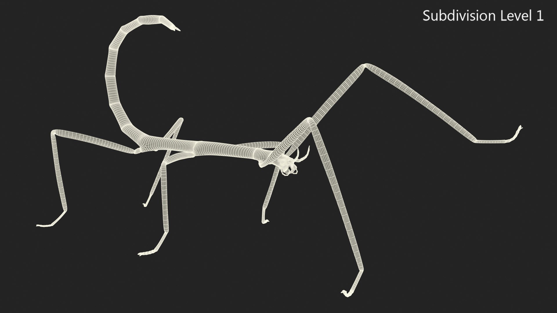 3D model stick insect green rigged - TurboSquid 1520307