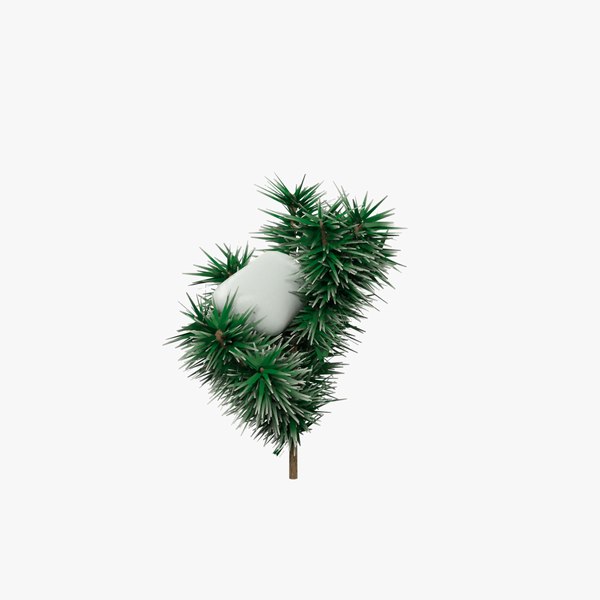snow fir tree max