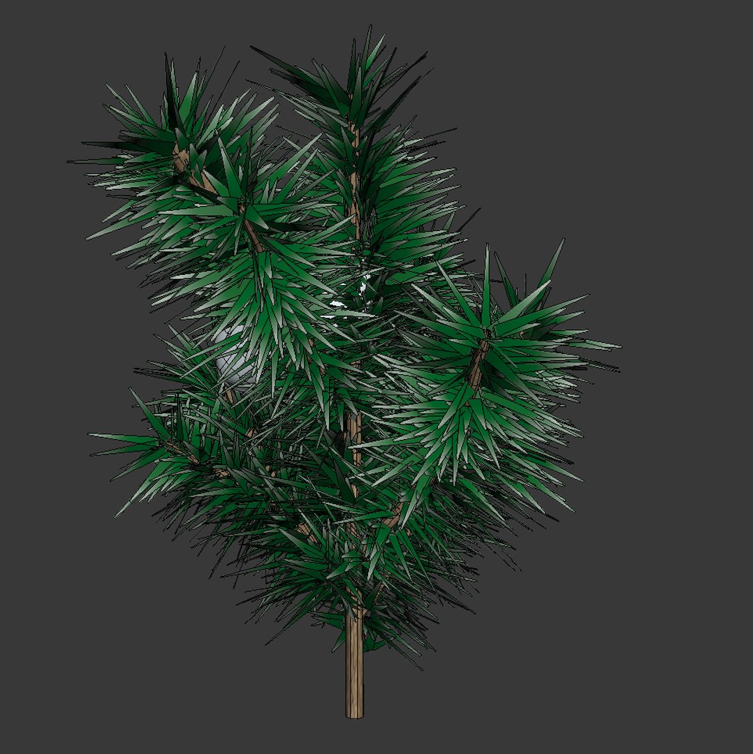 Snow Fir Tree Max