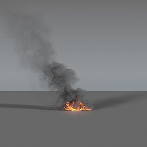 Fire Smoke Column 02 - VDB