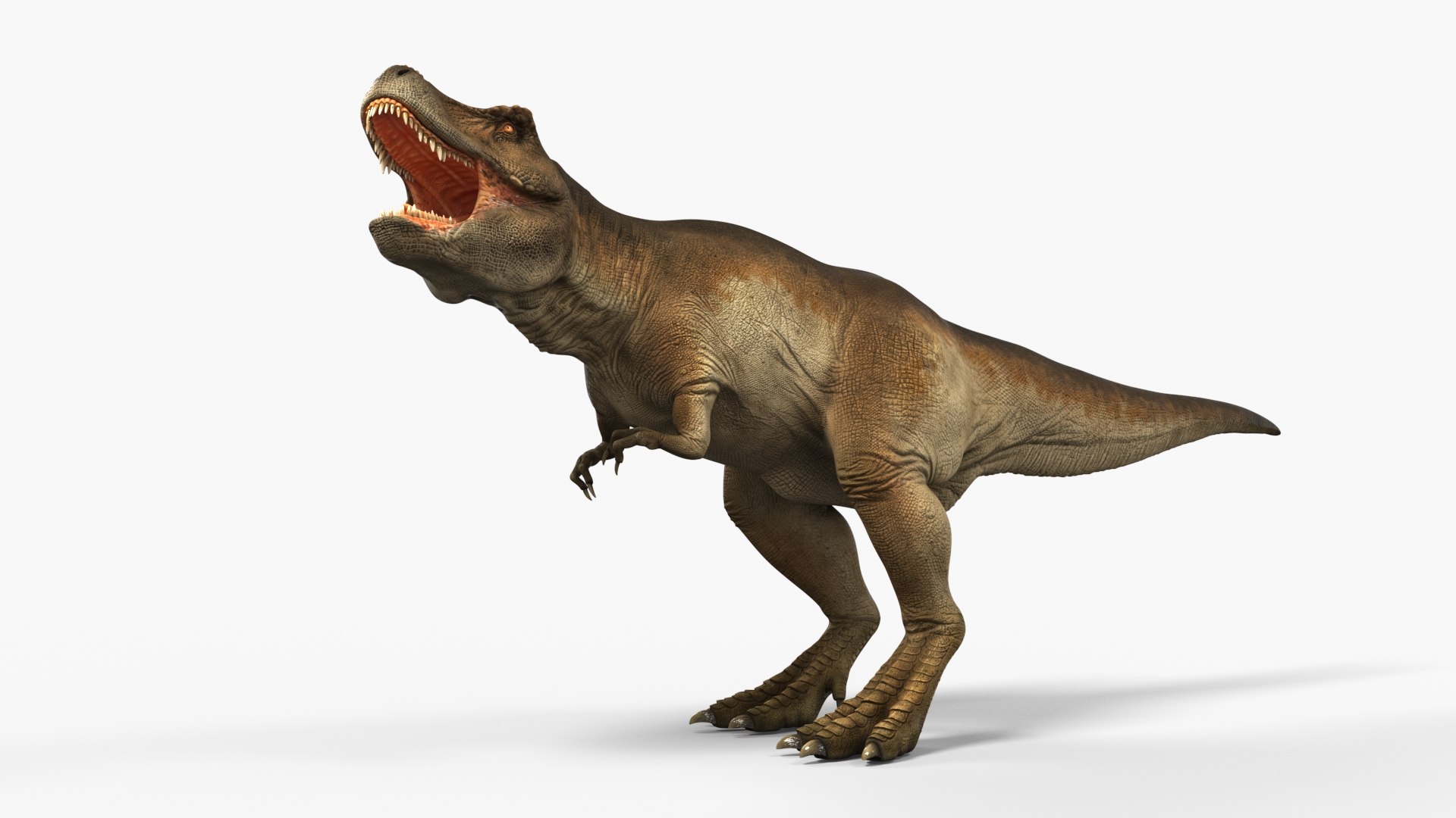 3D Model Tyrannosaurus Rex Dinosaur Rigged - TurboSquid 2382470
