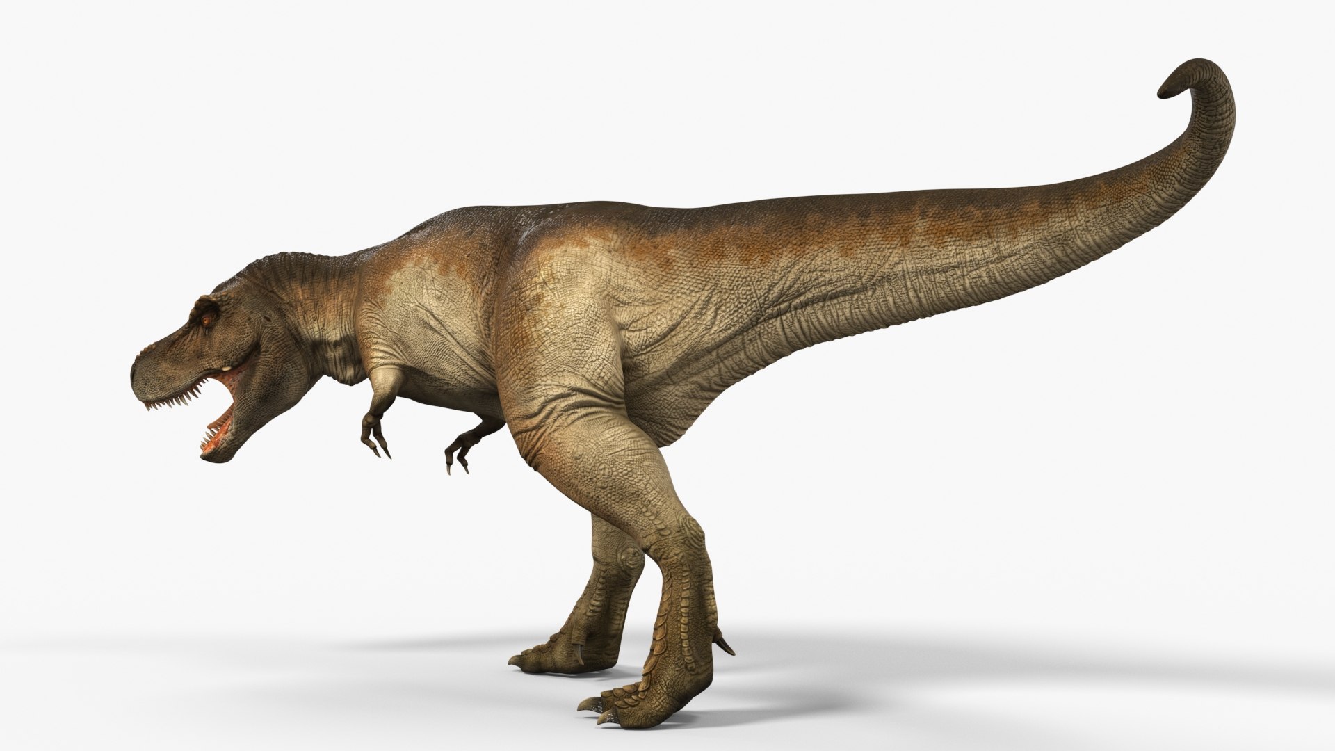 3D Model Tyrannosaurus Rex Dinosaur Rigged - TurboSquid 2382470