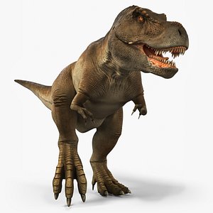 3D model Tyrannosaurus Rex Dinosaur Rigged