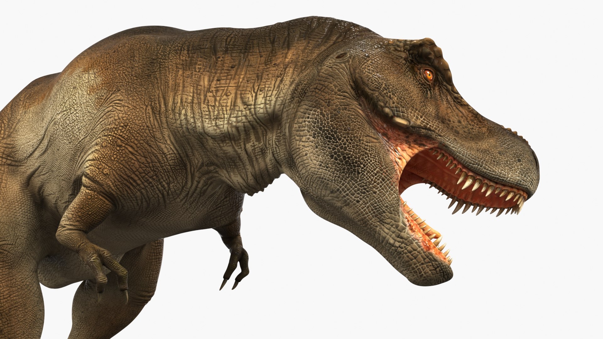 3D Model Tyrannosaurus Rex Dinosaur Rigged - TurboSquid 2382470