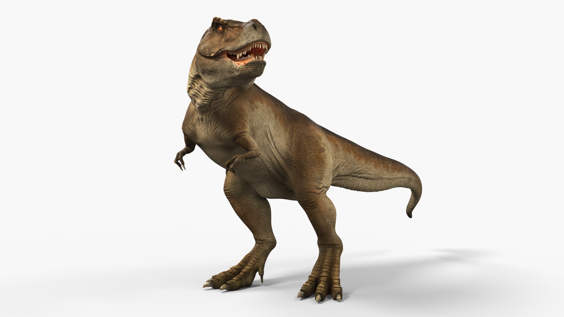 3D Model Tyrannosaurus Rex Dinosaur Rigged - TurboSquid 2382470
