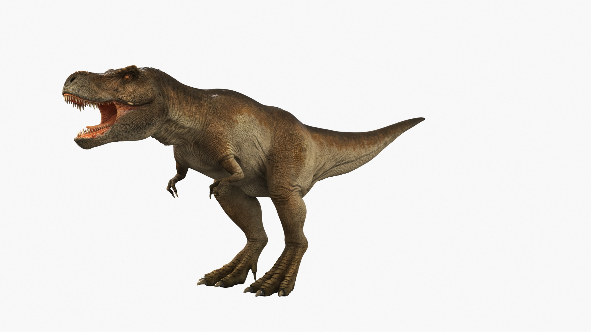 3D Model Tyrannosaurus Rex Dinosaur Rigged - TurboSquid 2382470