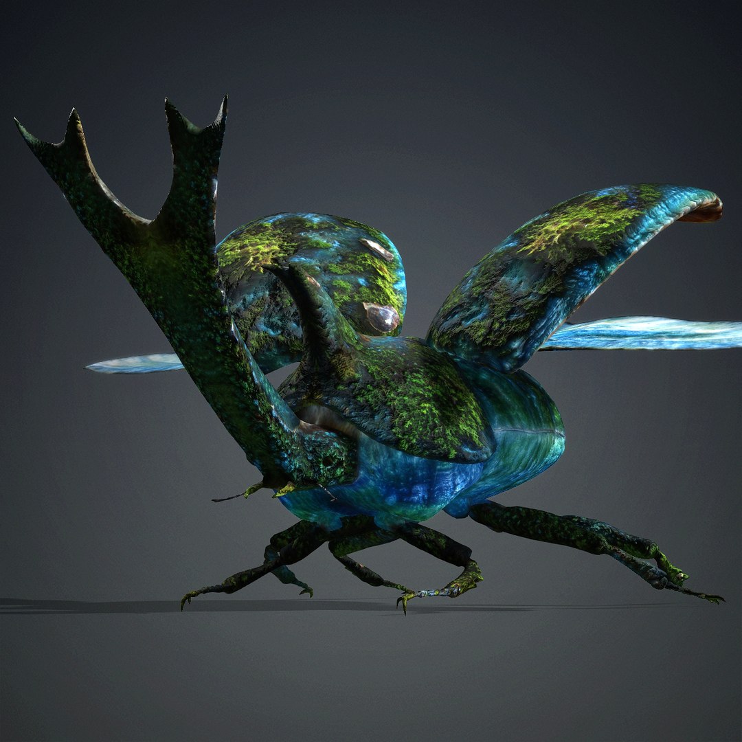 3D model Stenocara-A5 https://p.turbosquid.com/ts-thumb/IR/amsuLv/RS/a5/jpg/1765786569/1920x1080/fit_q87/ae7a490e6c5baa132b85a512d037ca519c83e185/a5.jpg