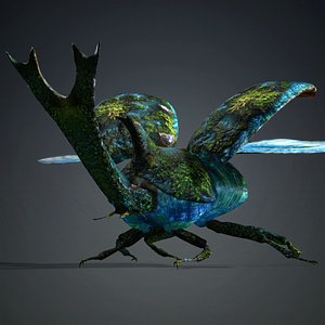 3D model Stenocara-A5