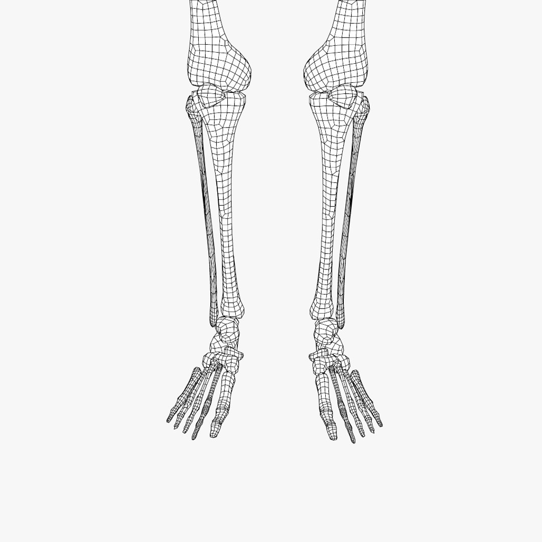 human skeleton 3d obj https://p.turbosquid.com/ts-thumb/IR/kKOP2Y/Uv1LDzxN/sc_08/jpg/1443524316/1920x1080/fit_q87/46778104f947ac8d0c3a6fab496c4b1a8cdfcb31/sc_08.jpg