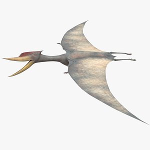 Pteranodon pterosaur white rigged 3D - TurboSquid 1479528