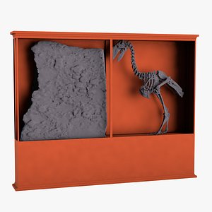 3D model museum cabinet