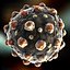 Measles Virus