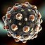 Measles Virus