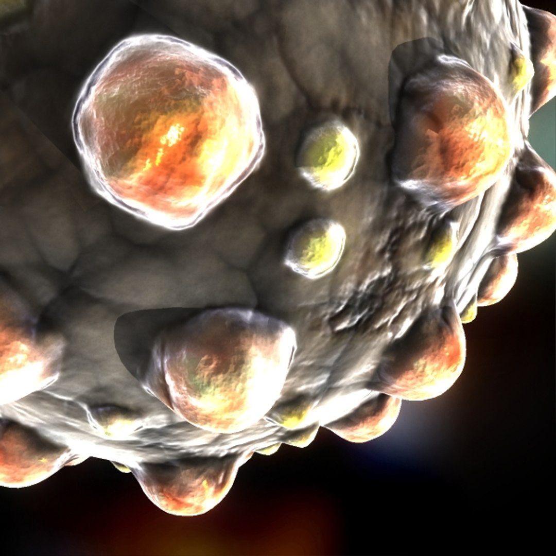 measles virus 3d max https://p.turbosquid.com/ts-thumb/IR/safktF/in7ccV9v/close/jpg/1353829720/1920x1080/fit_q87/5b39fdad8ca5394266e26e52e7107e4371142ba0/close.jpg