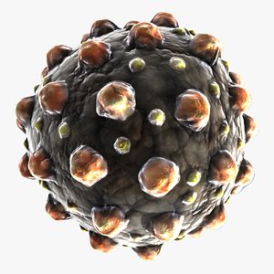 Measles Virus