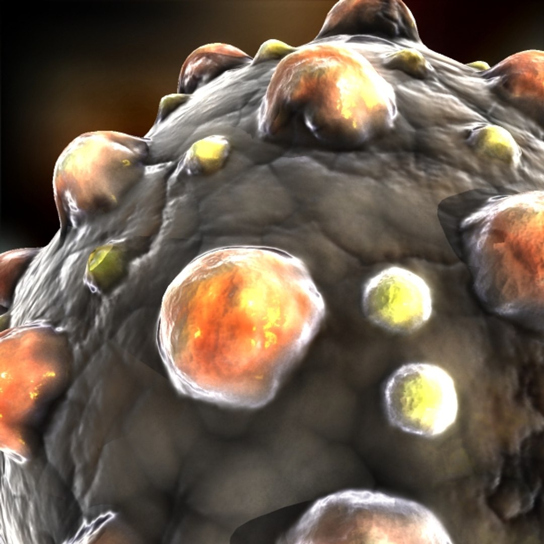 measles virus 3d max https://p.turbosquid.com/ts-thumb/IR/safktF/wVFSTlck/measlesvirus1/jpg/1355065910/1920x1080/fit_q87/08449664be10d18fedb13f4319b1ae4d9de85bcb/measlesvirus1.jpg