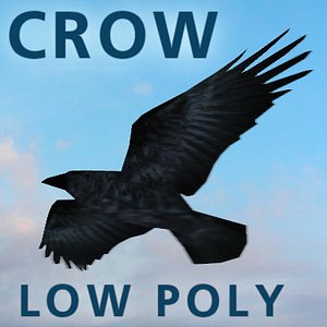 3d raven crow