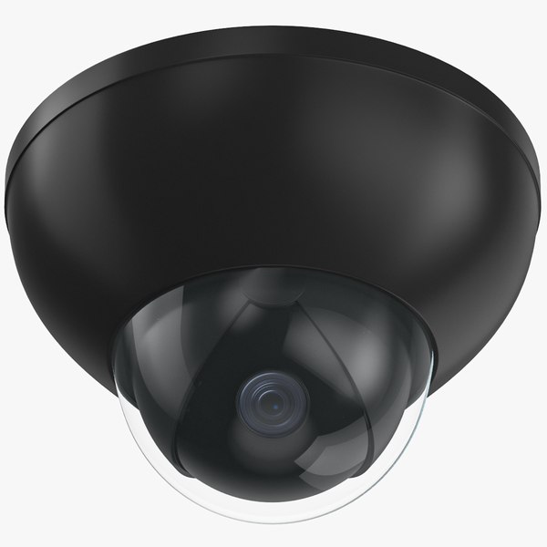 securitycam0131.jpg