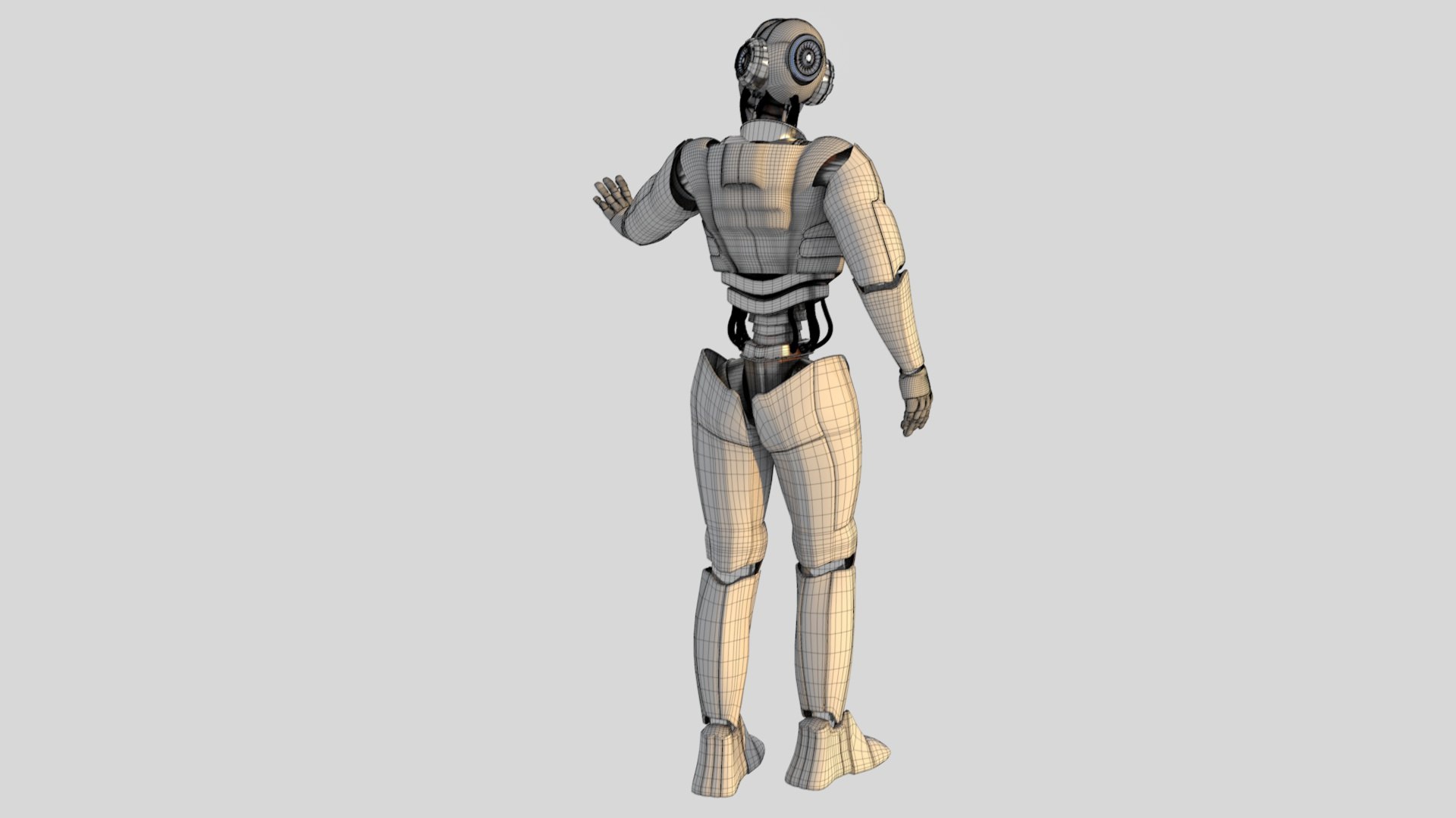 C4d Cyborg