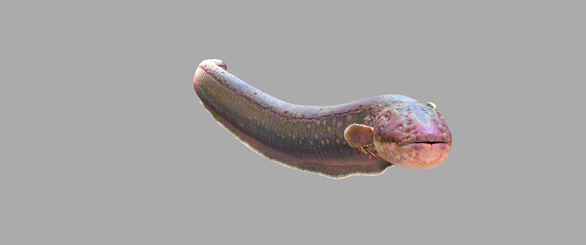 3D - Rig - TurboSquid 1601984