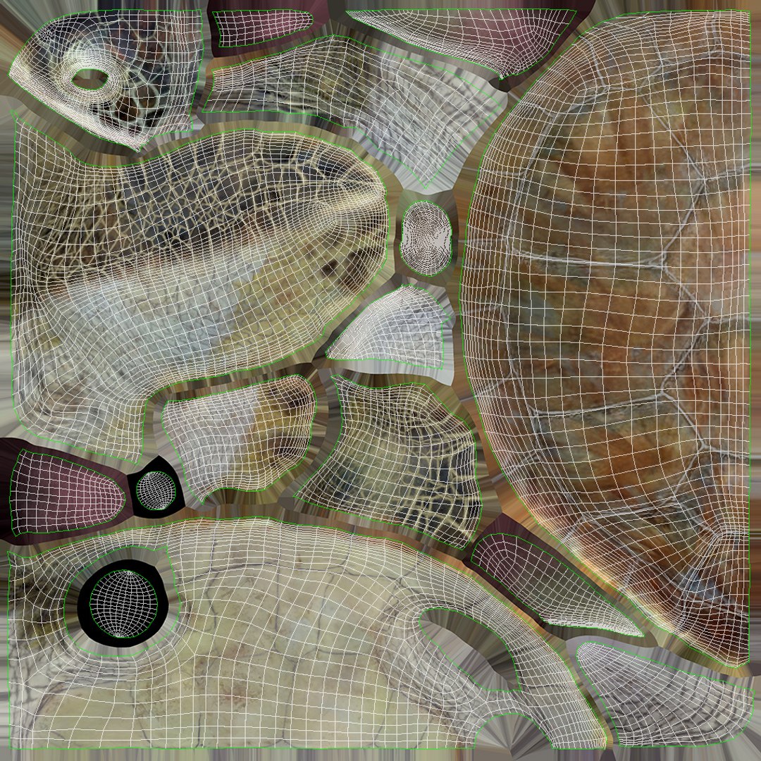 Green Sea Turtle Anatomy 3D model https://p.turbosquid.com/ts-thumb/IS/aOgL6x/e2/greenseaturtle_unwrapping/jpg/1719051910/1920x1080/fit_q87/0271b4a0e8e913aa61889b14ec184c1f0a6ccc75/greenseaturtle_unwrapping.jpg