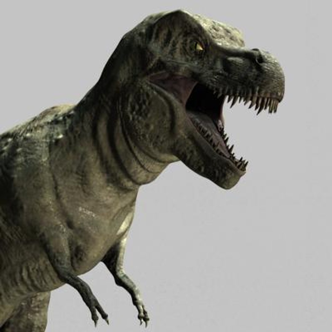 Rex 7 3d Model