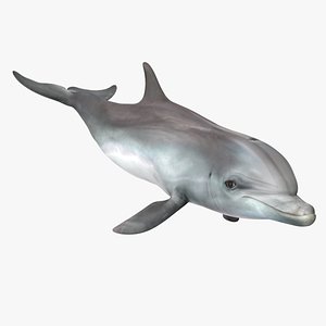 Dolphin Swimming And Jumping Animated for Maya model