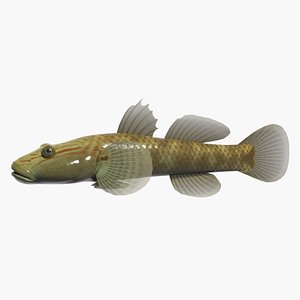 fresh water ld 3d 3ds